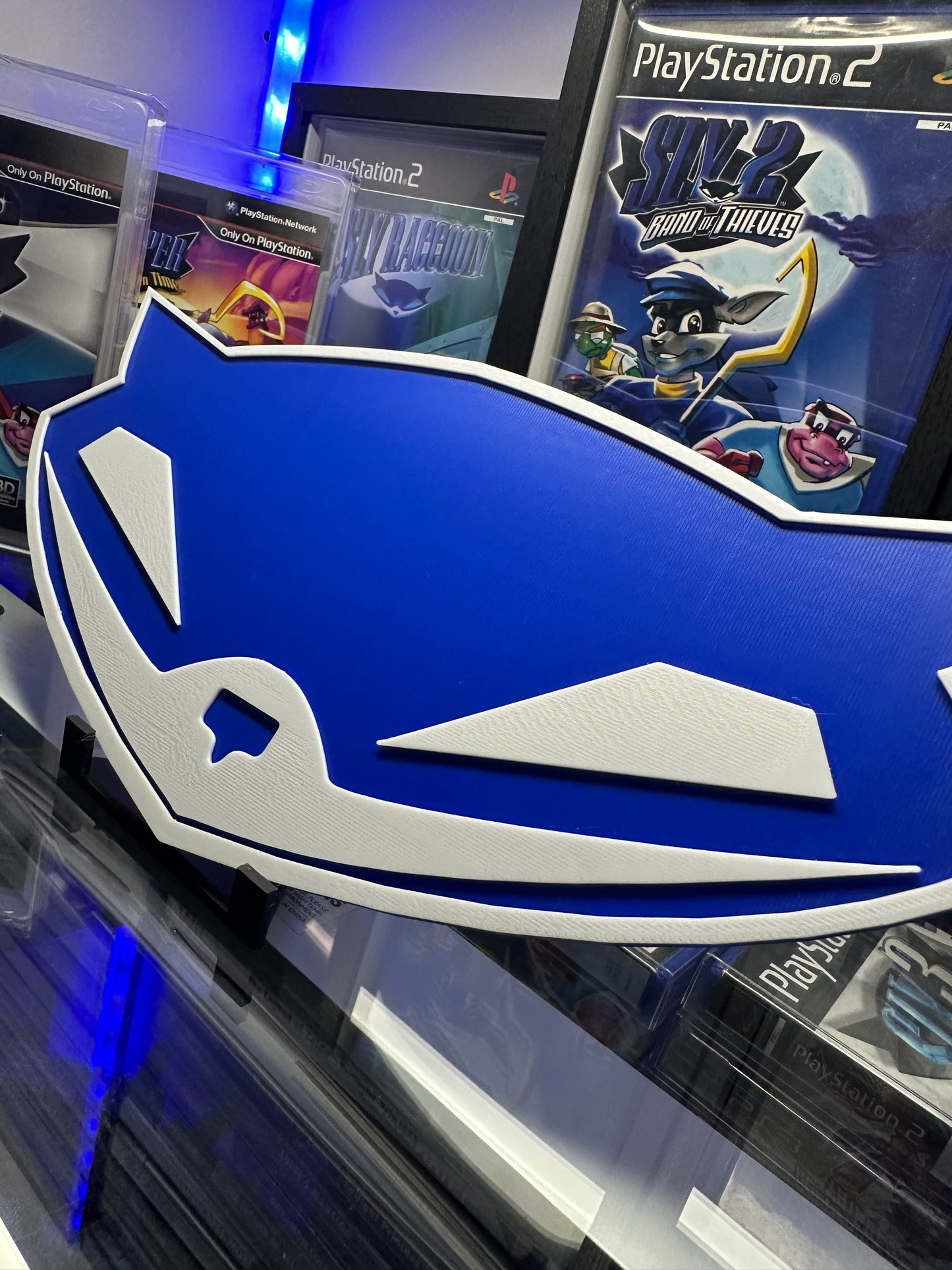 🦝 Raccoon Wall Art