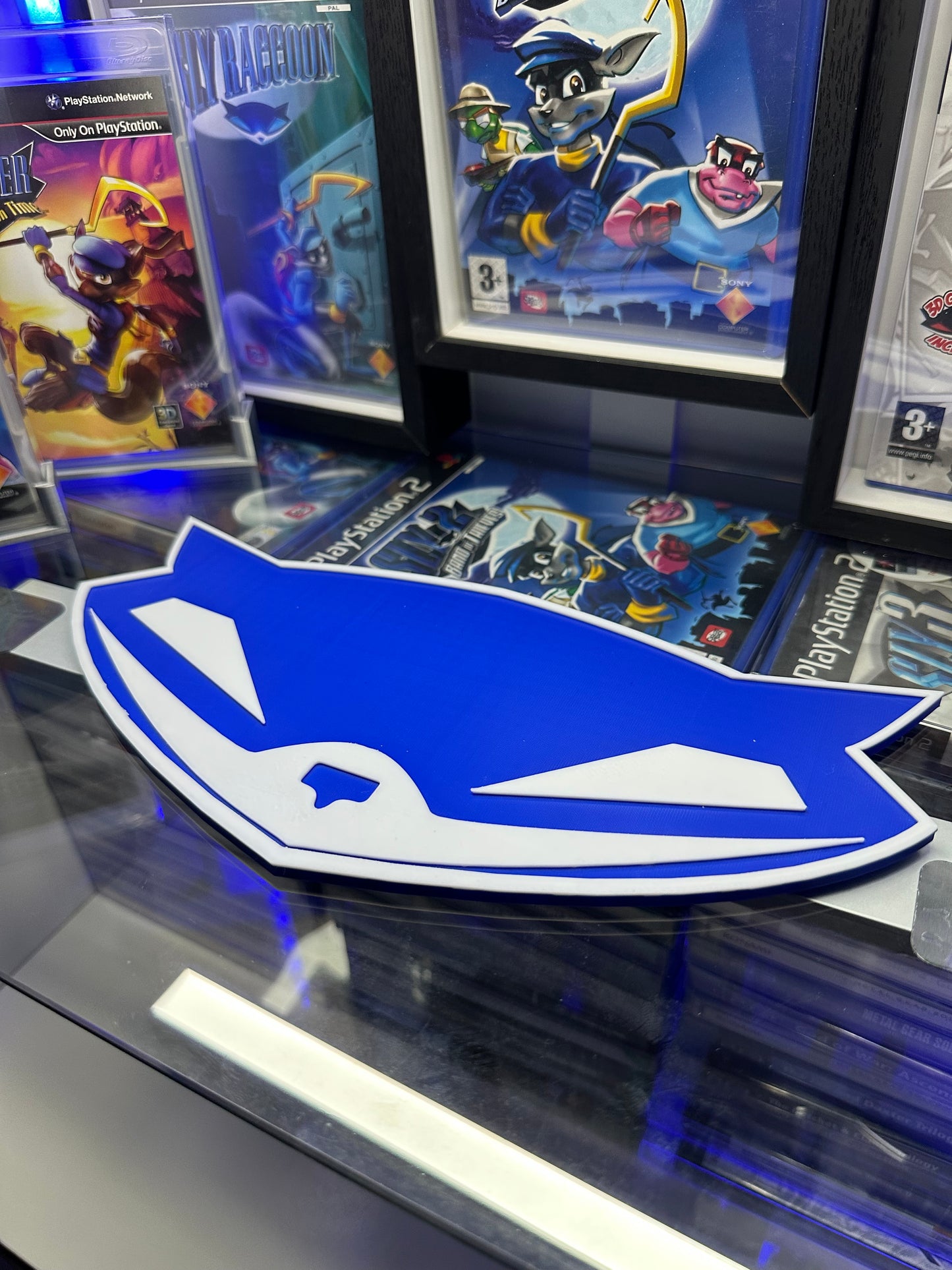 🦝 Raccoon Wall Art