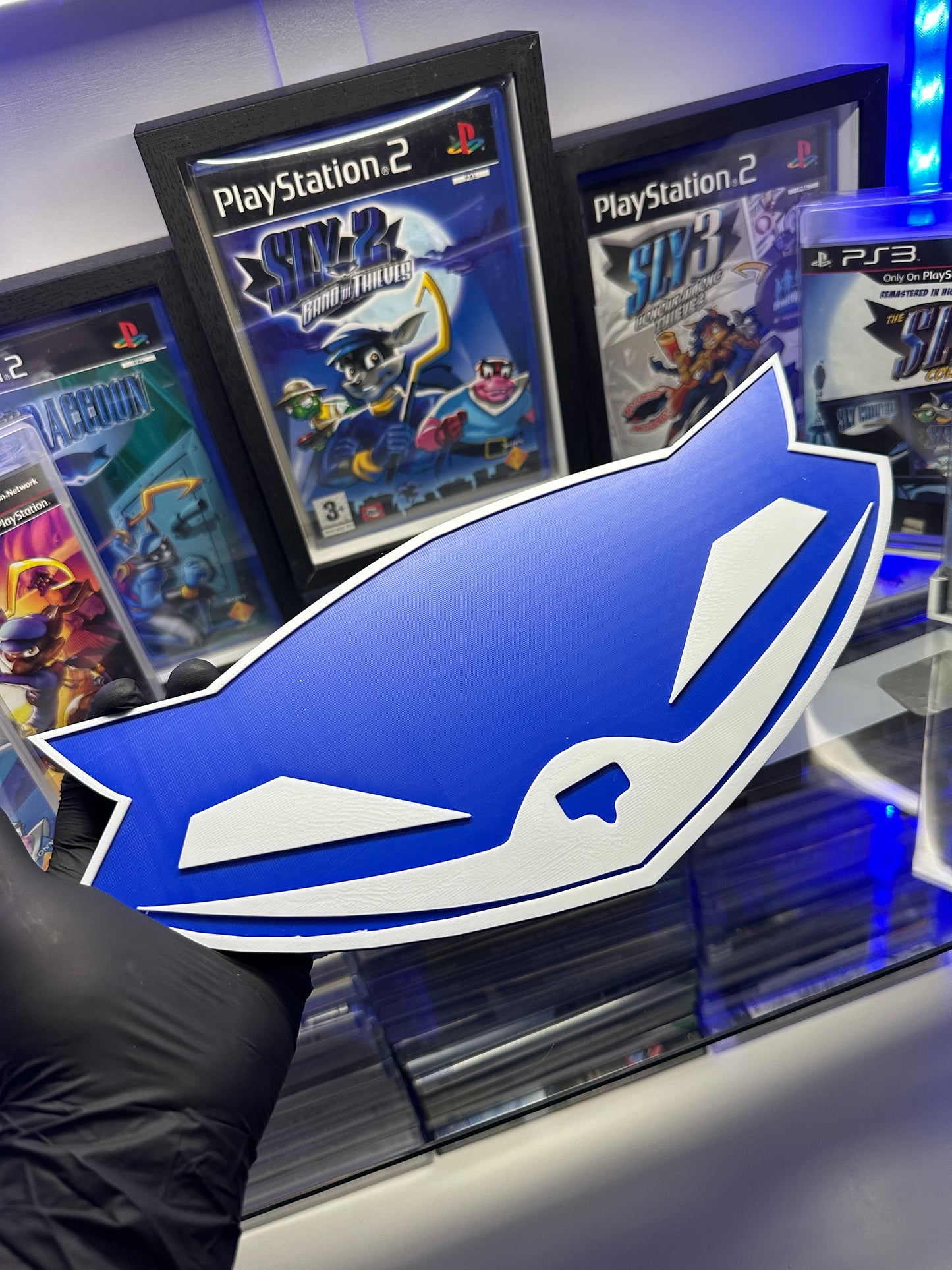 🦝 Raccoon Wall Art