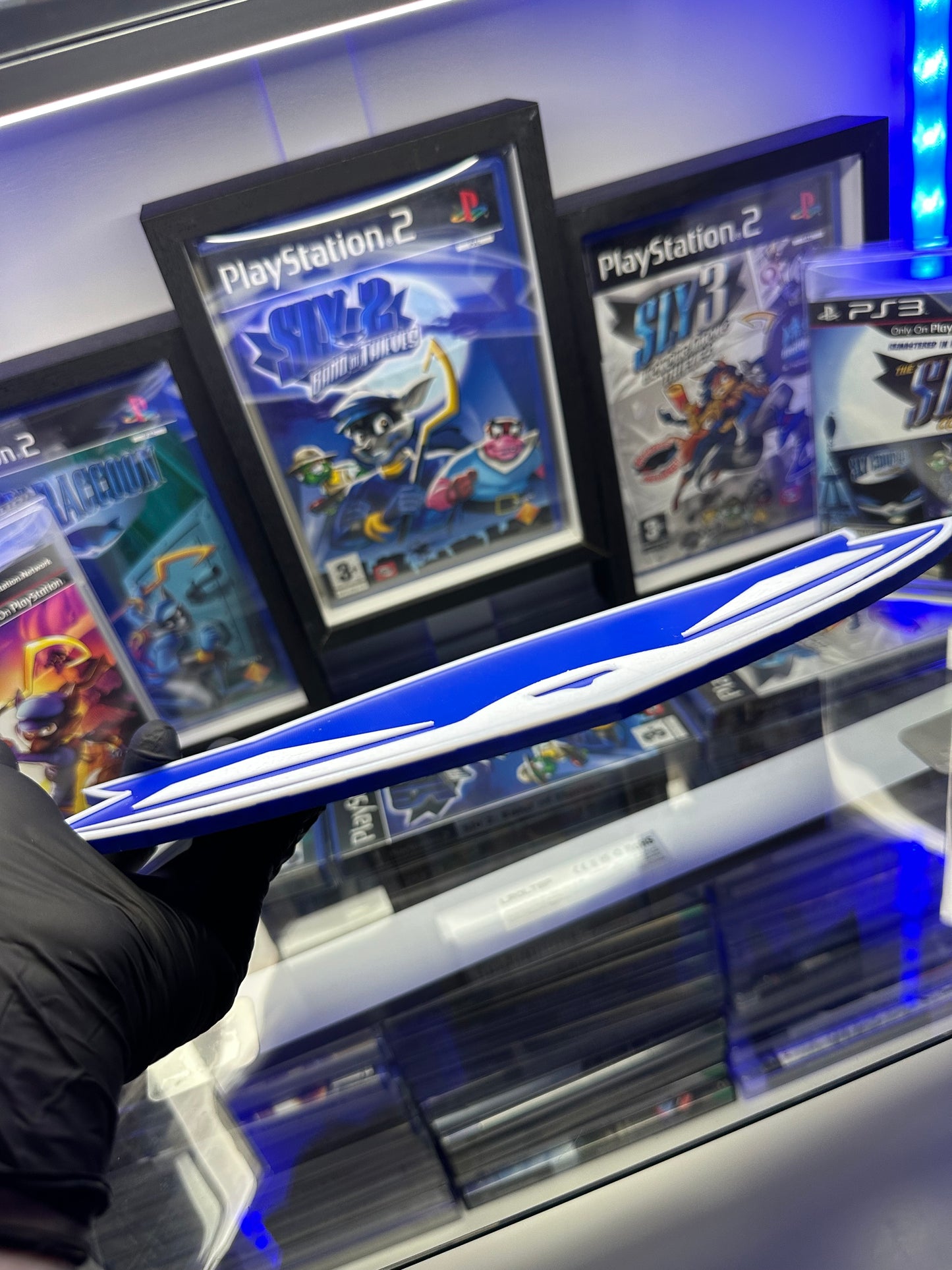 🦝 Raccoon Wall Art