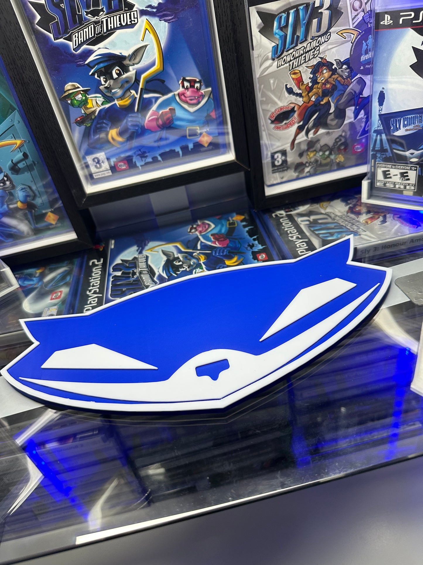 🦝 Raccoon Wall Art